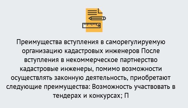 Почему нужно обратиться к нам? Чебаркуль Что дает допуск СРО кадастровых инженеров?