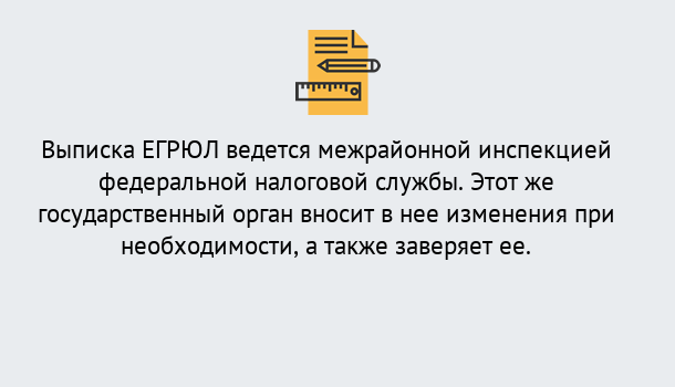 Почему нужно обратиться к нам? Чебаркуль Выписка ЕГРЮЛ в Чебаркуль ?