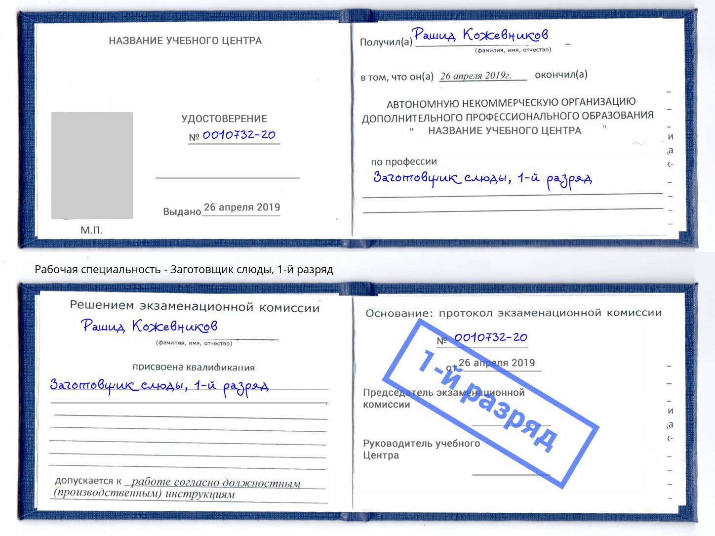 корочка 1-й разряд Заготовщик слюды Чебаркуль
